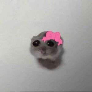 Meet your Posher, Milagros